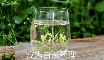 安吉白茶药理/2023051508374