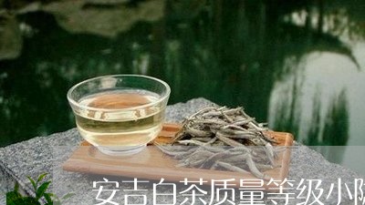 安吉白茶质量等级小隐/2023092990624