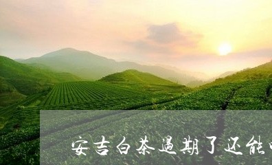 安吉白茶过期了还能喝么/2023102403058