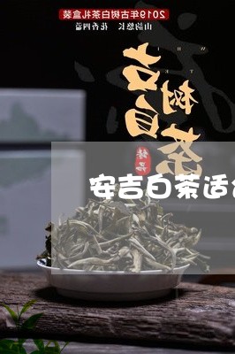 安吉白茶适合在室内泡吗/2023102494950