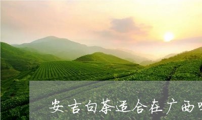 安吉白茶适合在广西吗/2023092981159