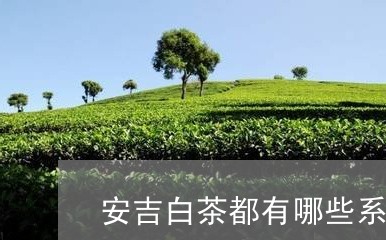 安吉白茶都有哪些系列/2023092971614