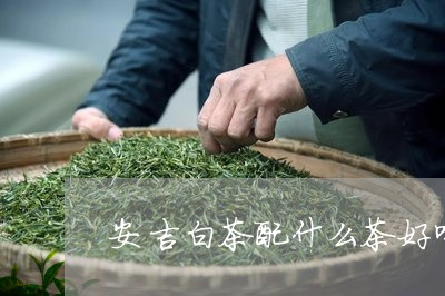 安吉白茶配什么茶好喝点/2023102468304