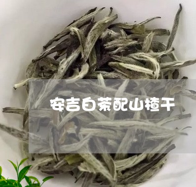 安吉白茶配山楂干/2023061837283