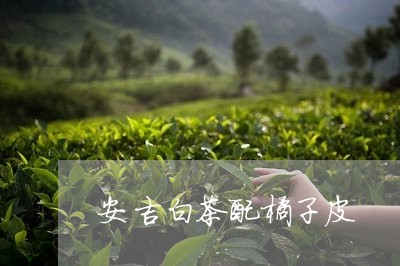 安吉白茶配橘子皮/2023061895159