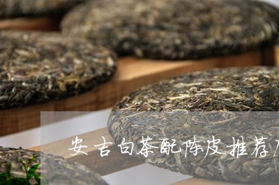 安吉白茶配陈皮推荐店铺/2023102495147