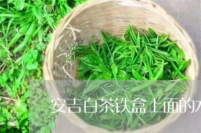 安吉白茶铁盒上面的水/2023092963726