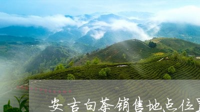 安吉白茶销售地点位置/2023063086359