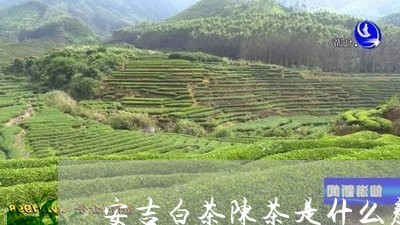 安吉白茶陈茶是什么颜色/2023102494930