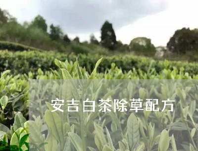 安吉白茶除草配方/2023061892492