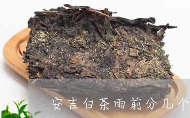 安吉白茶雨前分几个等级/2023102415817