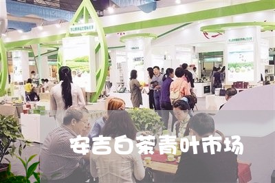 安吉白茶青叶市场/2023061806149