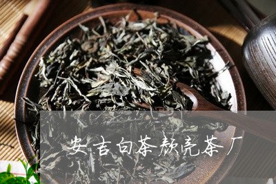 安吉白茶颜亮茶厂/2023061816150