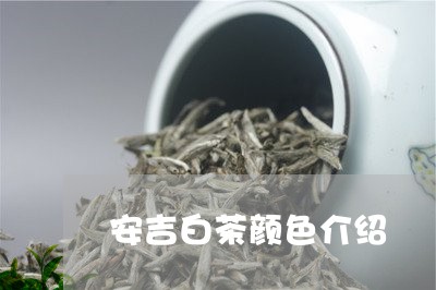 安吉白茶颜色介绍/2023061873049