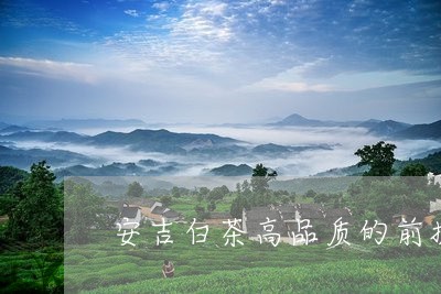 安吉白茶高品质的前提/2023092947382