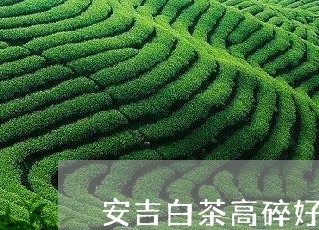 安吉白茶高碎好喝吗/2023063025063