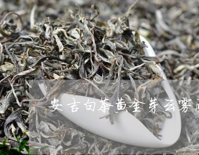 安吉白茶黄金芽云雾间茶/2023102405371