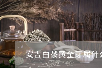 安吉白茶黄金芽属什么茶/2023102448381