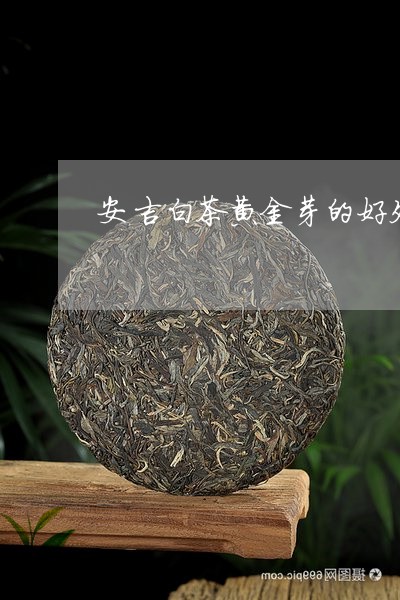 安吉白茶黄金芽的好处/2023092981805