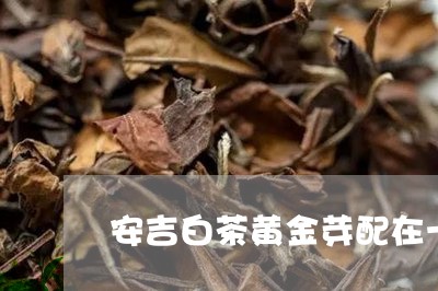 安吉白茶黄金芽配在一起/2023102406951