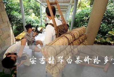 安吉翡翠白茶价格多少钱/2023101746491