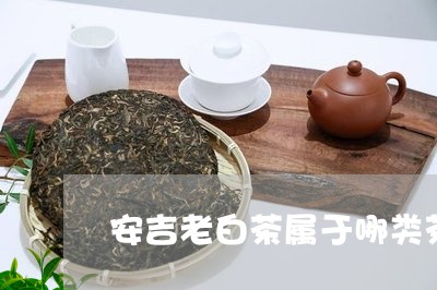 安吉老白茶属于哪类茶/2023092978492