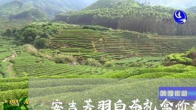 安吉芳羽白茶礼盒价格表/2023101761806