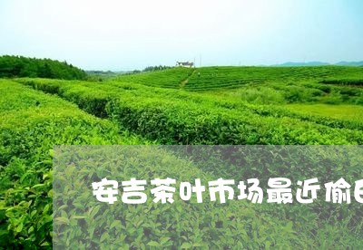 安吉茶叶市场最近偷白茶/2023101767512