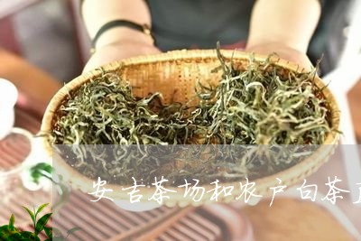 安吉茶场和农户白茶直销/2023101748368