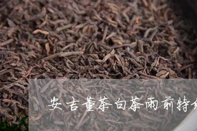 安吉董茶白茶雨前特级/2023092992697