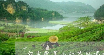 安吉霞幕山白茶好喝吗/2023092912937