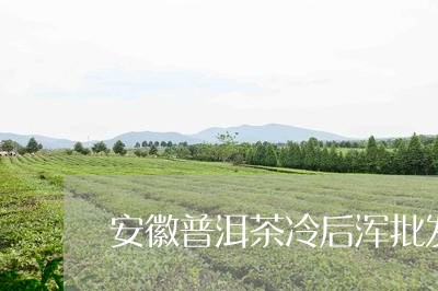 安徽普洱茶冷后浑批发/2023072408359