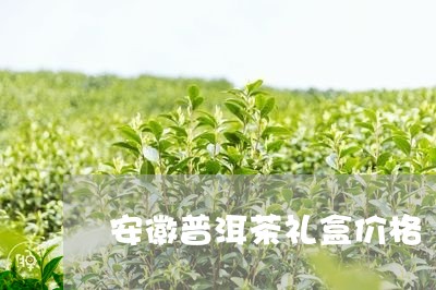 安徽普洱茶礼盒价格/2023071174158