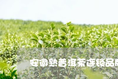 安徽熟普洱茶连锁品牌/2023062766939