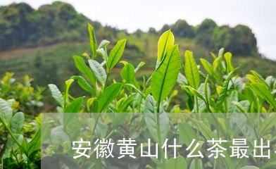 安徽黄山什么茶最出名/2023071472706