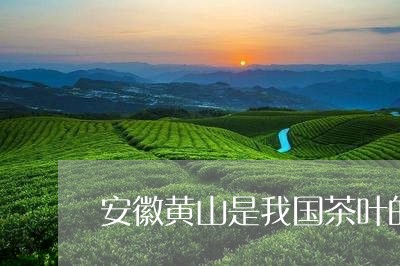 安徽黄山是我国茶叶的主要产地之一/2023060406160