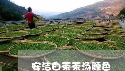 安洁白茶茶汤颜色/2023061850705