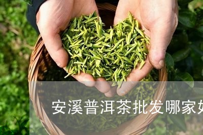 安溪普洱茶批发哪家好喝点/2023082518169