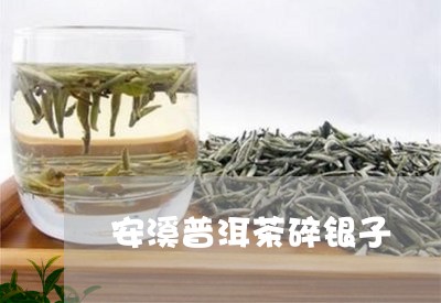 安溪普洱茶碎银子/2023120456258