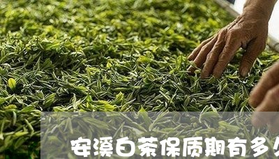 安溪白茶保质期有多久/2023092943925