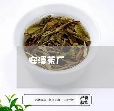 安溪茶厂/2023090108370