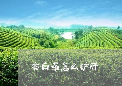 安白茶怎么护肝/2023061767627