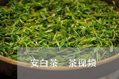 安白茶釆茶视频/2023061852724