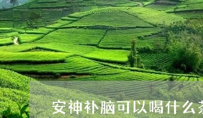 安神补脑可以喝什么茶/2023071473737