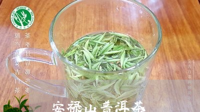 安禄山普洱茶/2023042839473