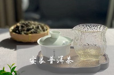 安良普洱茶/2023102582926