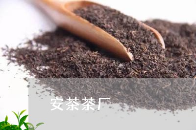 安茶茶厂/2023110901559