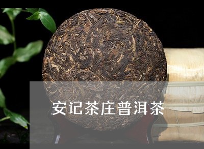 安记茶庄普洱茶/2023120338481