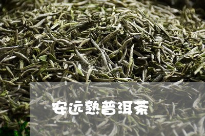 安远熟普洱茶/2023042806891