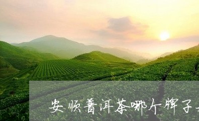 安顺普洱茶哪个牌子好/2023080341625